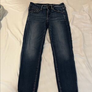 American Eagle Outfitters Dark Blue Skinny Leg Jeans